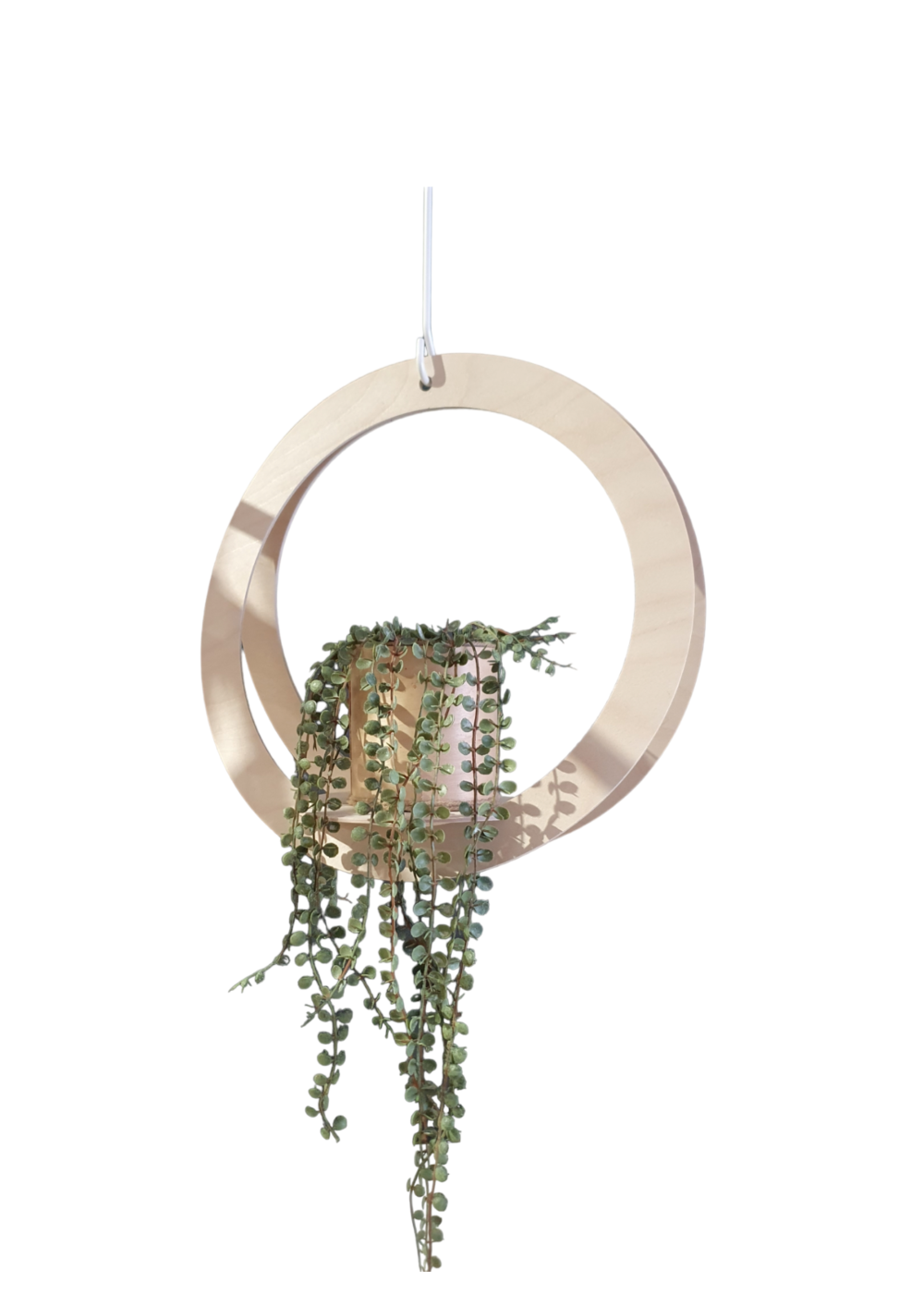 GRISELDA amppeli 36 cm | Kompakti riippuva amppeli - Image 2